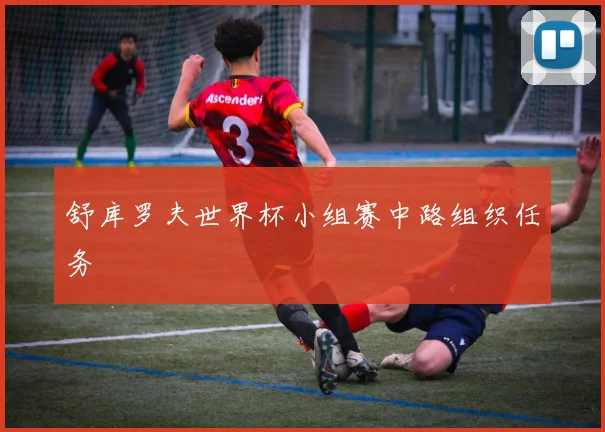 舒库罗夫世界杯小组赛中路组织任务
