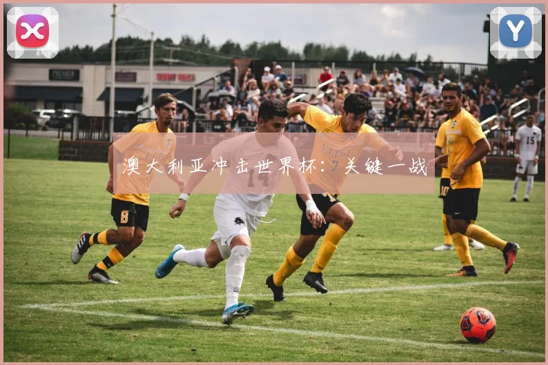澳大利亚冲击世界杯：关键一战