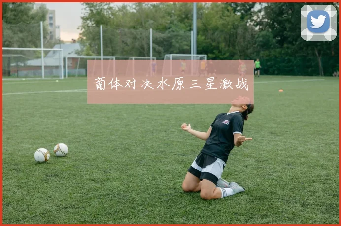 葡体对决水原三星激战