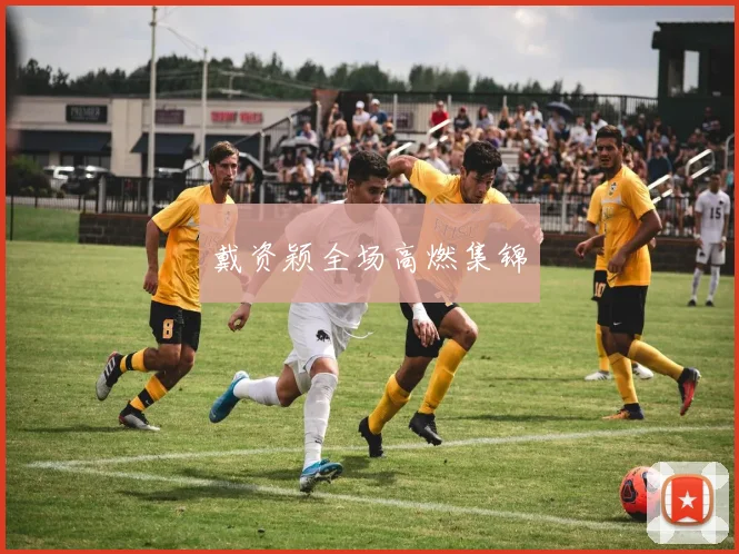 戴资颖全场高燃集锦