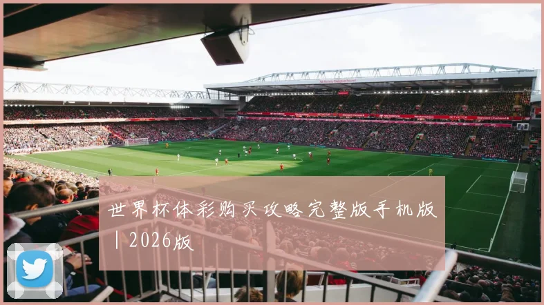 世界杯体彩购买攻略完整版手机版｜2026版
