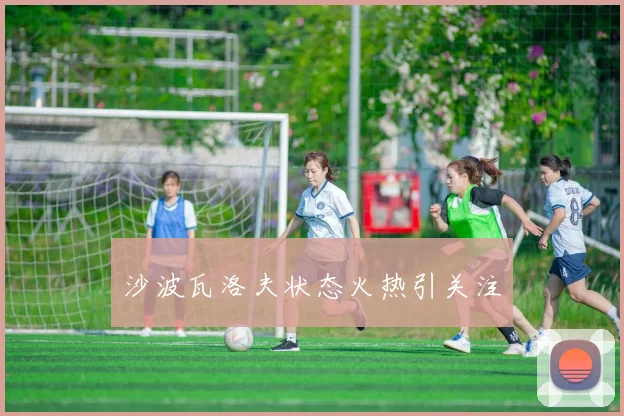 沙波瓦洛夫状态火热引关注