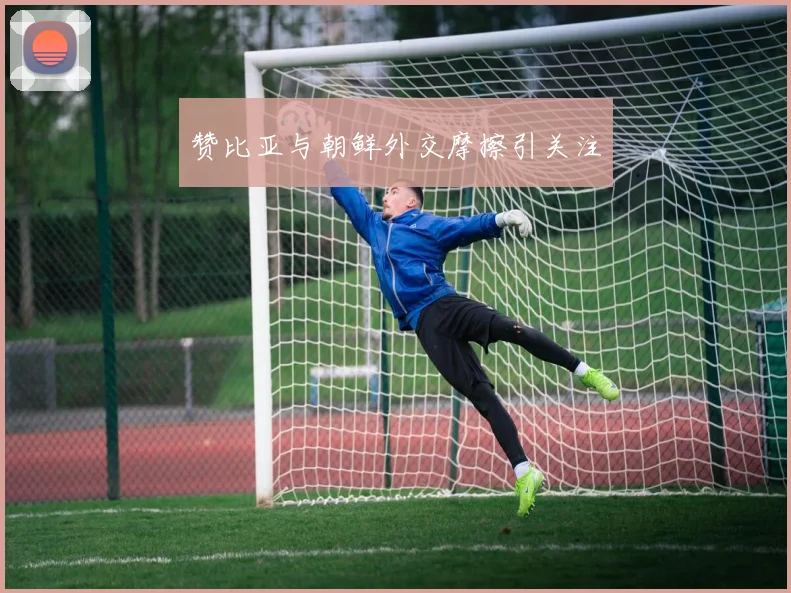 赞比亚与朝鲜外交摩擦引关注