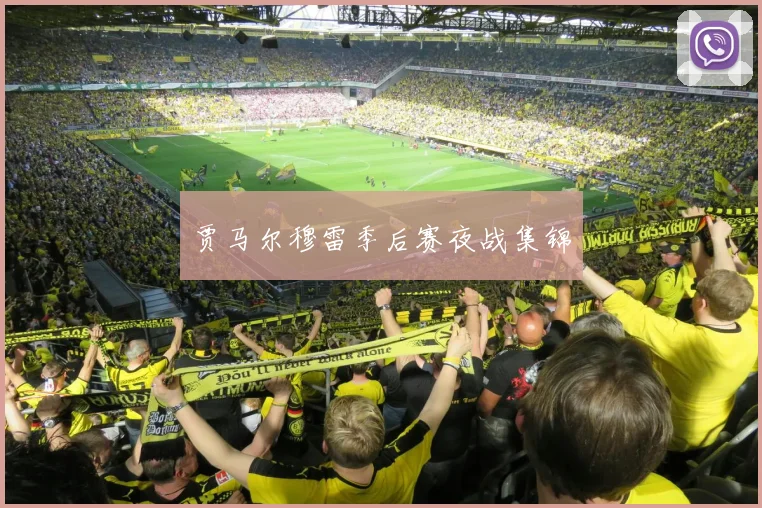 贾马尔穆雷季后赛夜战集锦