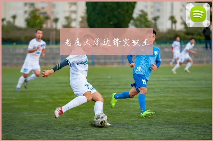 老虎大学边锋突破王