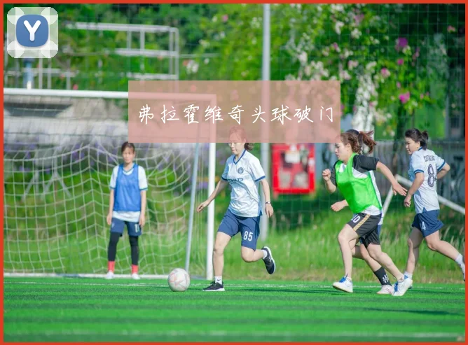 弗拉霍维奇头球破门
