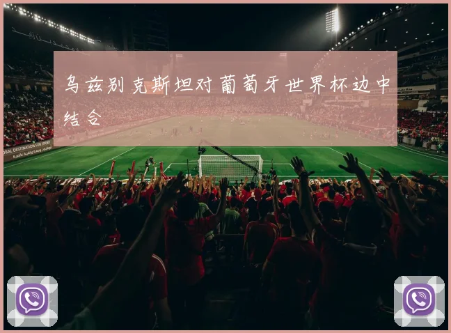 乌兹别克斯坦对葡萄牙世界杯边中结合